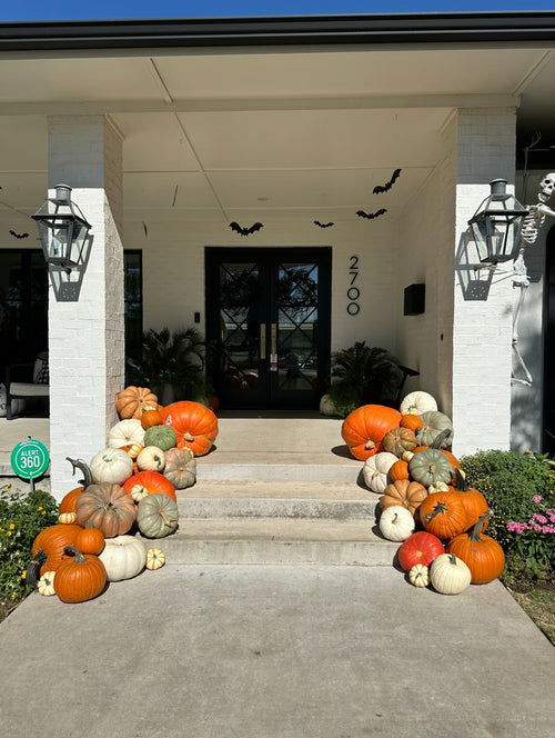 This photo shows 2/3rds of this package because it was split between the front and back yard. 