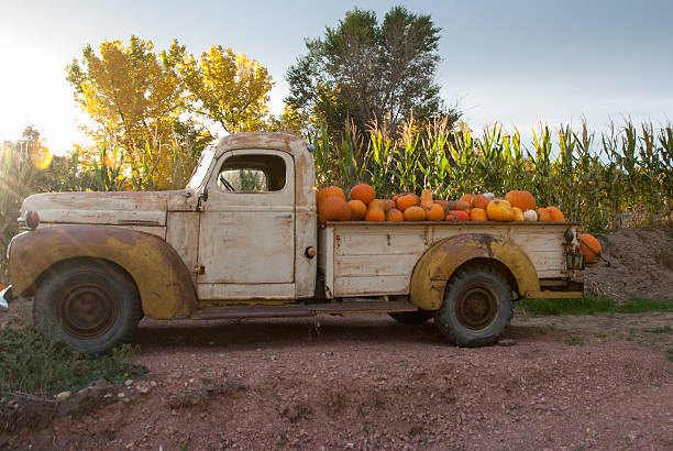 Pumpkin End Of Season Pickup